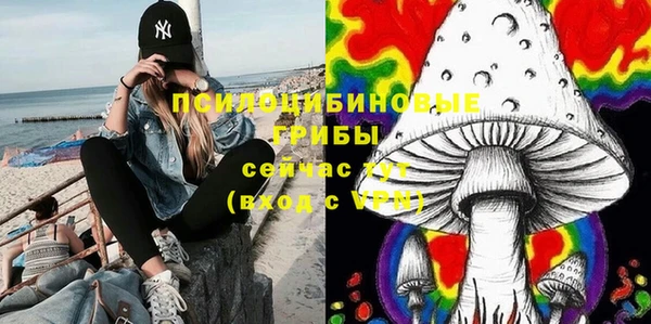ешки Арсеньев