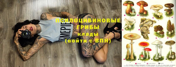 ешки Арсеньев