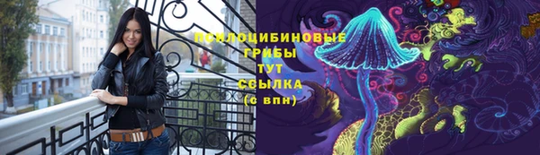 ешки Арсеньев