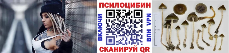 Псилоцибиновые грибы ЛСД  Зуевка 